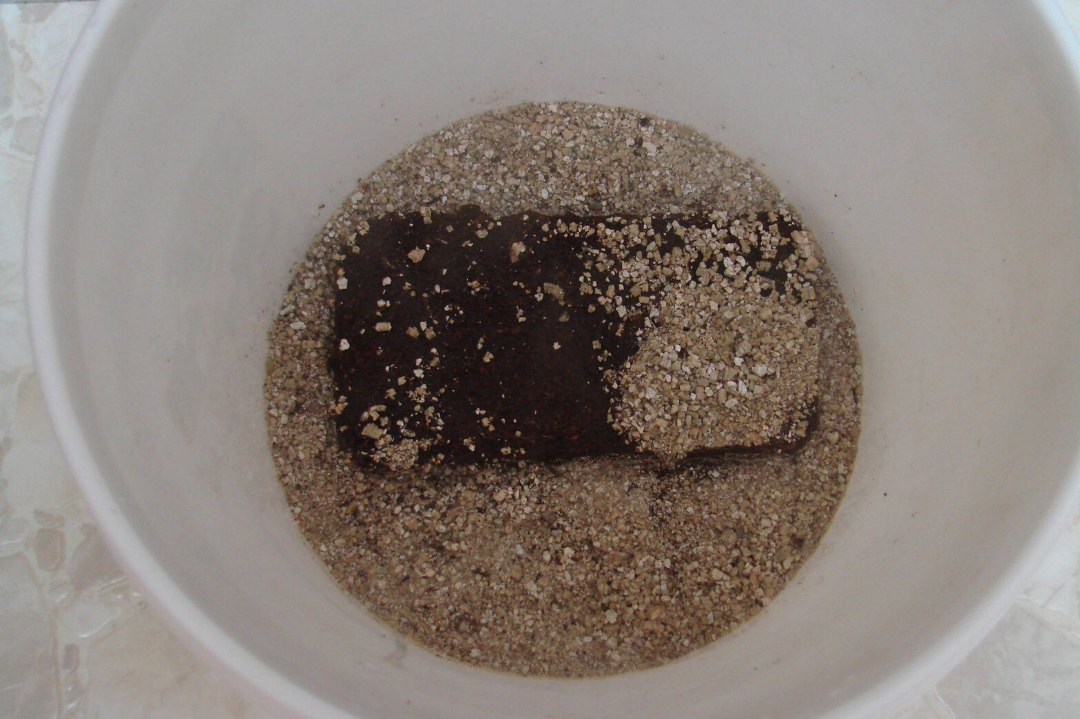 a block of cococoir in a bucket with some vermiculite