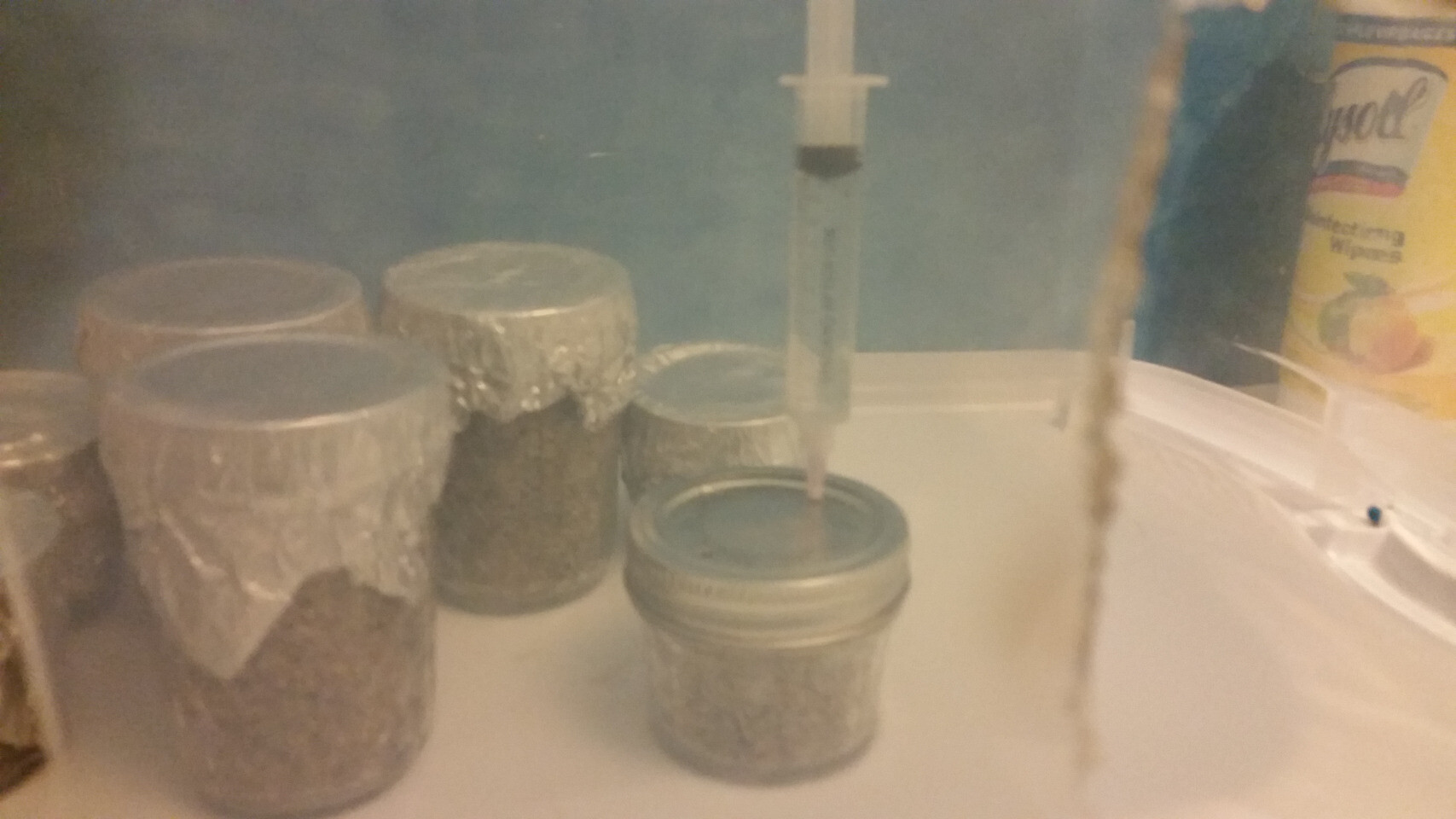 inoculating a jar with a syringe